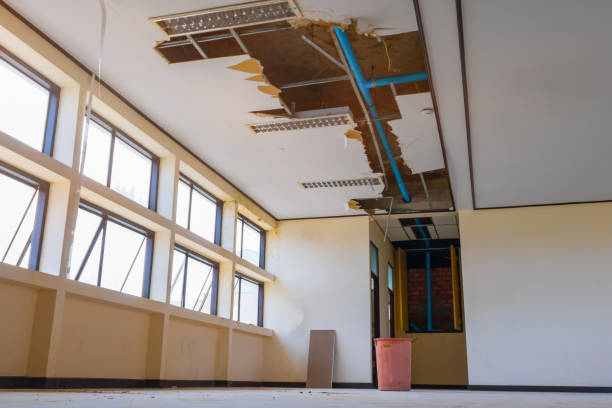 Best Professional water damage repair  in Bluffton, OH