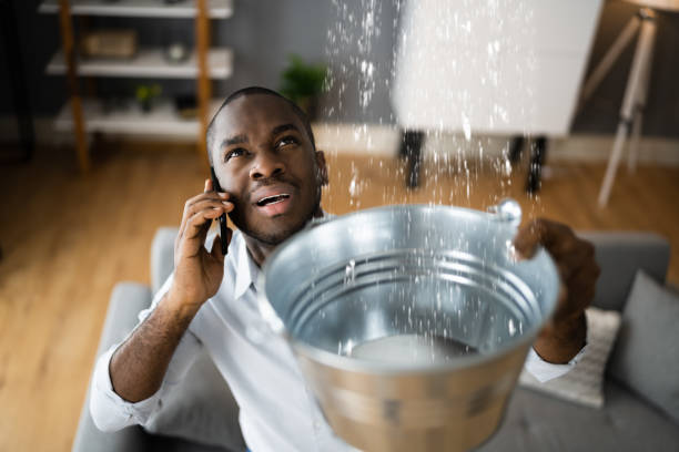 Best Local water damage restoration  in Bluffton, OH