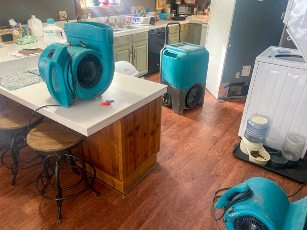 Best Sewage cleanup and water damage restoration  in Bluffton, OH