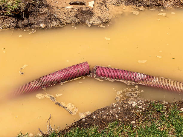 Best 24-hour water damage restoration  in Bluffton, OH