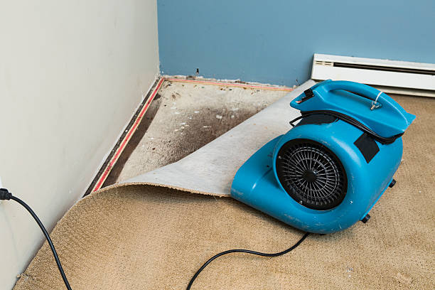 Best Water damage restoration near me  in Bluffton, OH